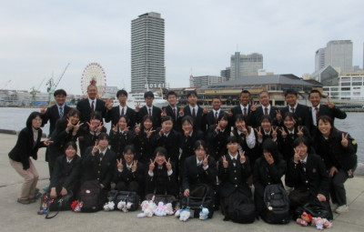 MOSAIC31