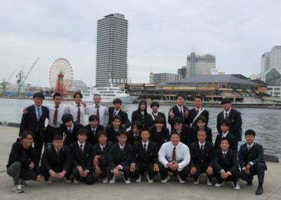 MOSAIC33