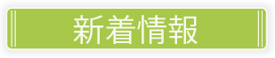 アセット 11新着情報