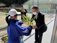 綺麗な花が咲きますように