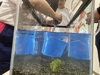 水を入れています!!2