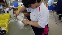 袋詰めの様子　２
