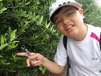ハートのオリーブ発見！！