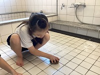 ヨコシタヨコシタヨコシタ!