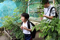 探検隊だ！