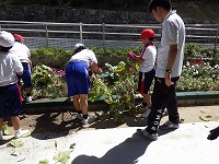 花壇の整理