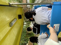 IMG_4895 2