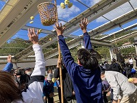 玉入れの様子