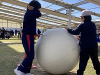 大玉転がし
