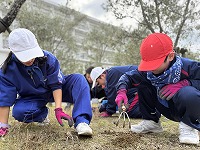 IMG_0496