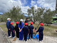 IMG_3850
