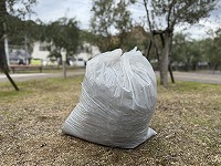 IMG_0501