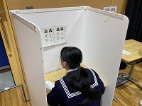 投票