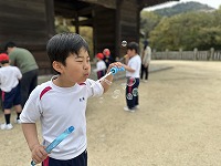 IMG_0593