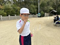 IMG_0595