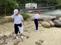 IMG_3556