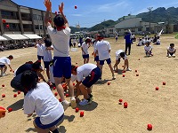 IMG_4730