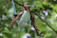 IMG_9431