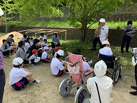 IMG_0645