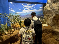 IMG_4866