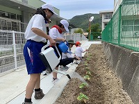 水やりです。