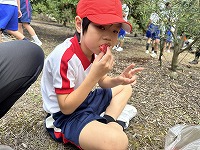 IMG_1312