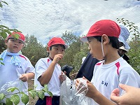 IMG_1313