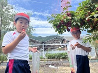 IMG_7385