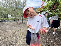 IMG_7396