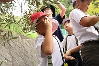 IMG_7985