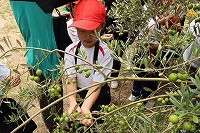 IMG_7962