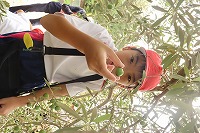 IMG_7968