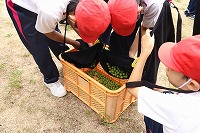 IMG_7988