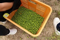 IMG_7992