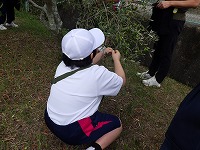 収穫の様子