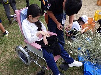 収穫の様子