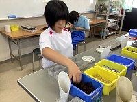 IMG_0733