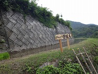 RIMG0572