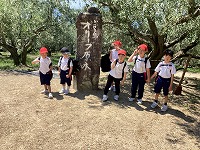 IMG_0350 2