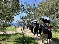 IMG_0340 2