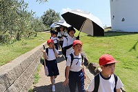 IMG_0677