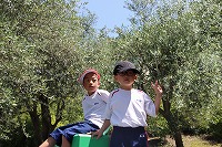 IMG_0730