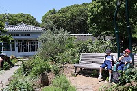 IMG_9622