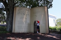 IMG_9644