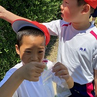 IMG_0767
