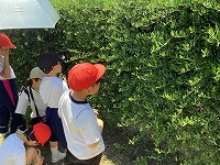 IMG_0769