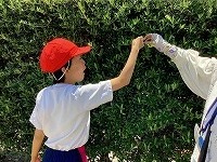 IMG_2139