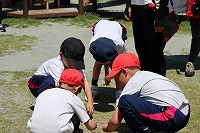 IMG_9725