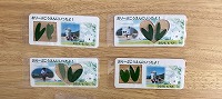 IMG_0449 5