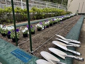 IMG_0693-cleaned